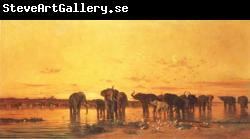 Charles tournemine African Elephants